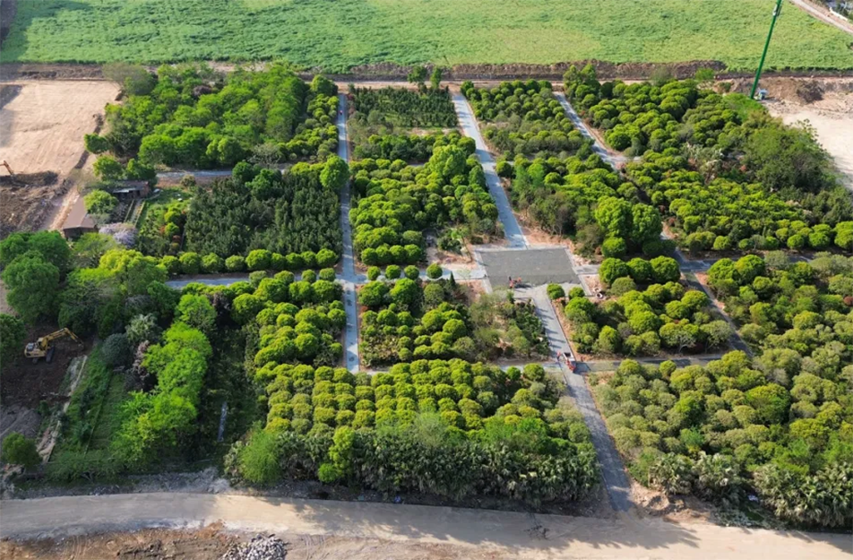 南昌九洲公園稻香園及植物園項目沖刺：農旅融合打造生態文旅新地標